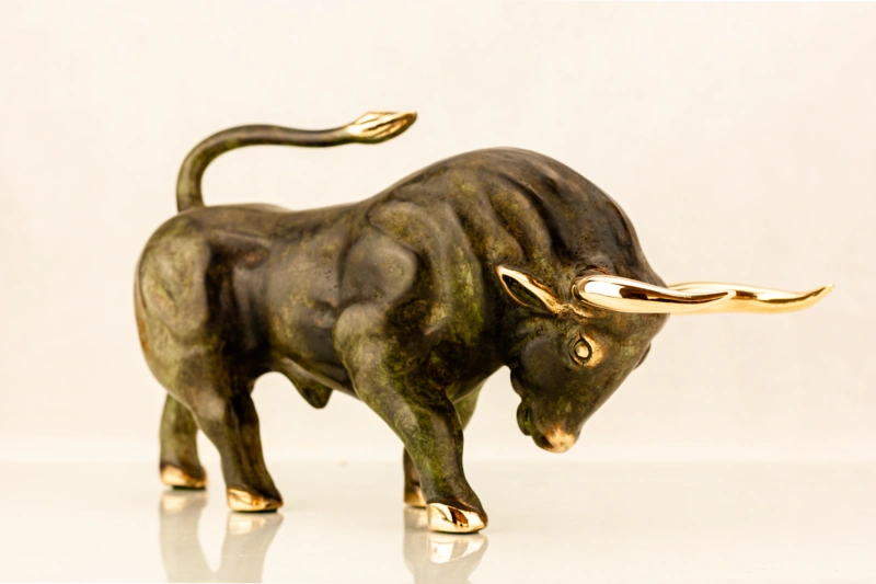 The bull 17 cm