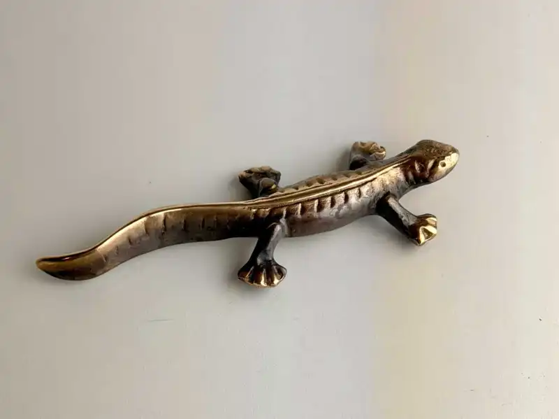 Salamander 15 cm