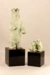 Polar bears young couple on granite 21 cm