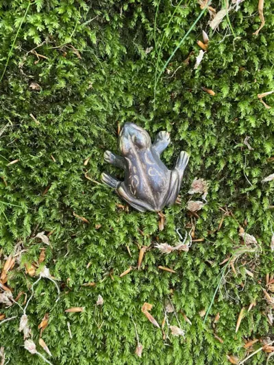 SMALL FROG 2.5 CM